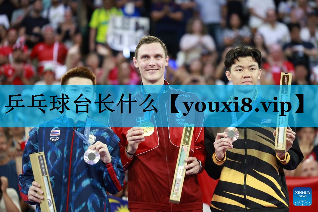 乒乓球台长什么