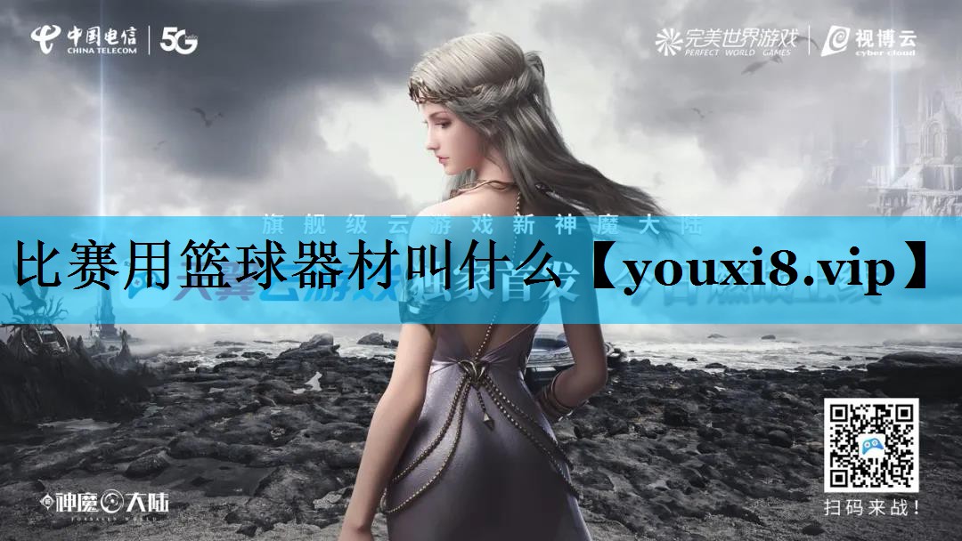 比赛用篮球器材叫什么