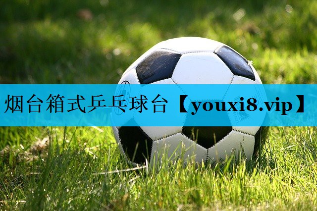 烟台箱式乒乓球台