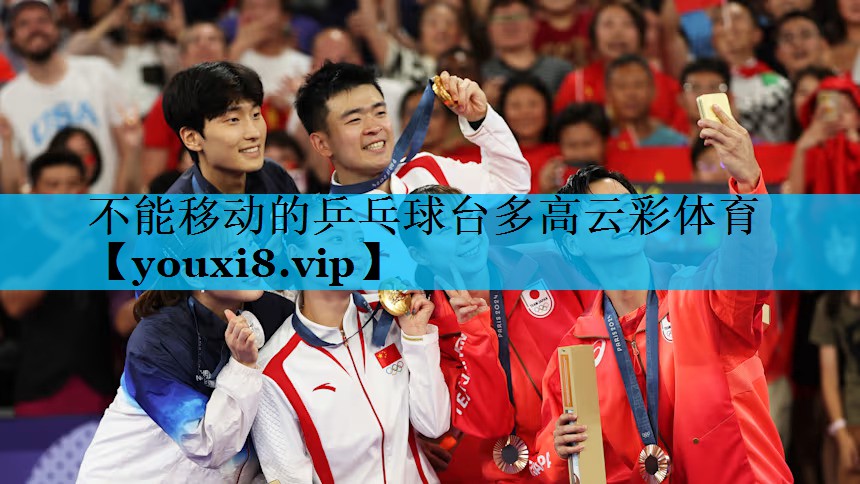 不能移动的乒乓球台多高云彩体育