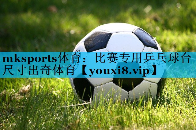 mksports体育：比赛专用乒乓球台尺寸出奇体育