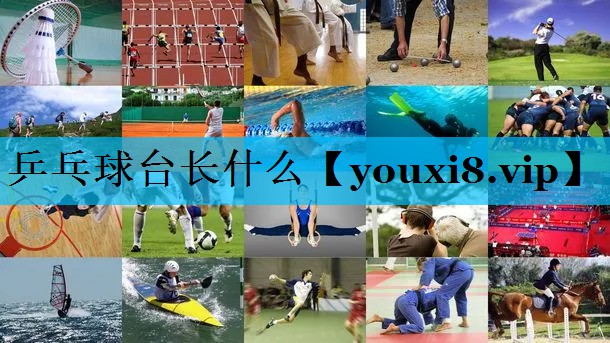 乒乓球台长什么 乒乓球台长什么