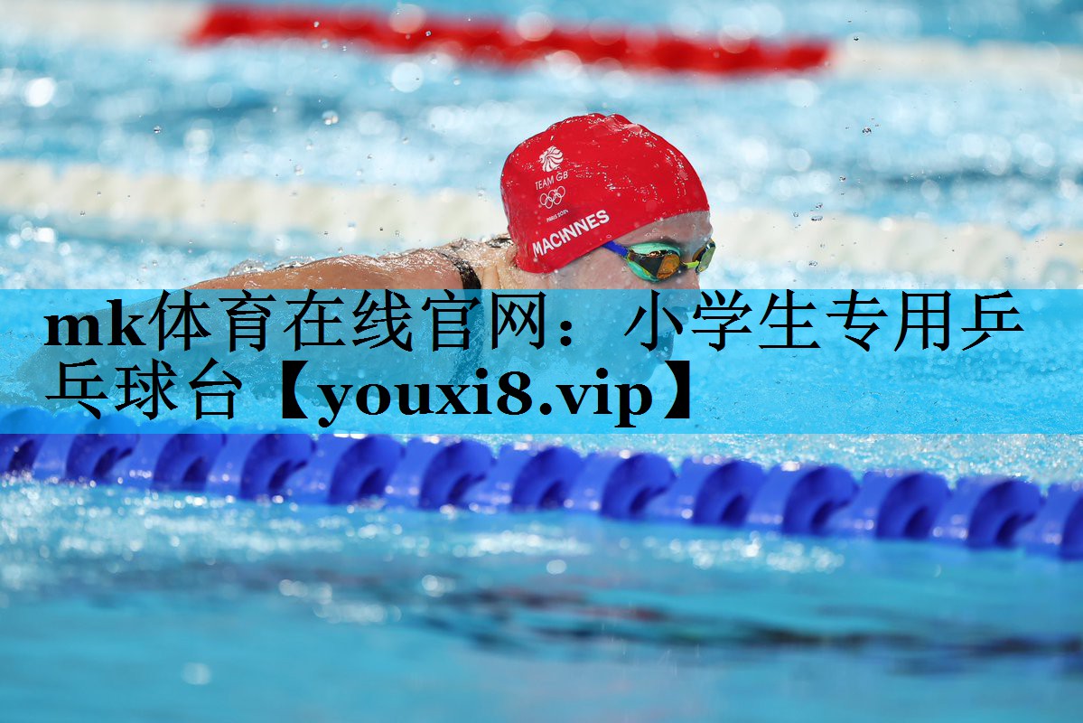 小学生专用乒乓球台