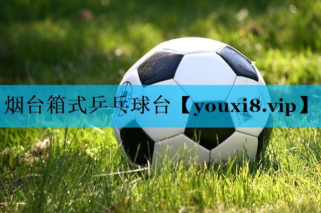 烟台箱式乒乓球台